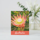 Protheembloem Australische reisdruk Briefkaart (Staand voorkant)