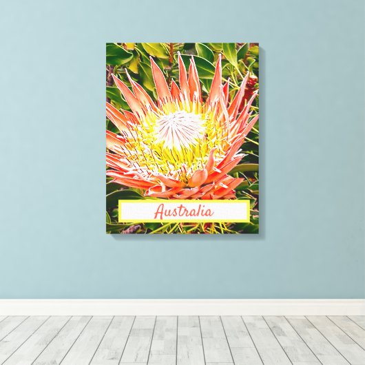 Protheembloem Australische reisdruk Canvas Afdruk (Insitu (Houten vloer))