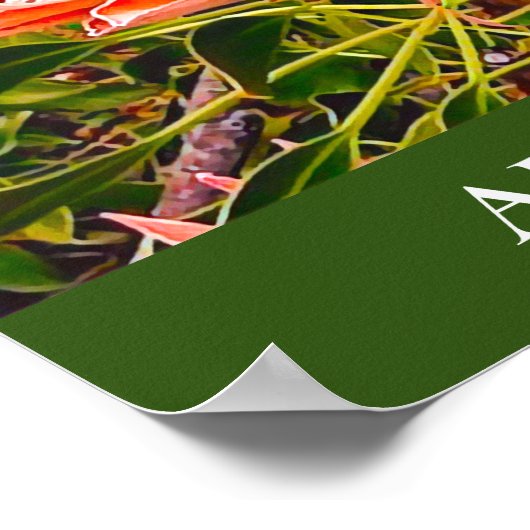 Protheembloem Australische reisdruk Poster (Hoek)