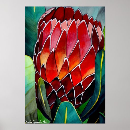 Protheembloem waterverf oorspronkelijke kunstschil poster (Voorkant)