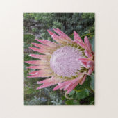 Protheetsuiker struik legpuzzel (Verticaal)