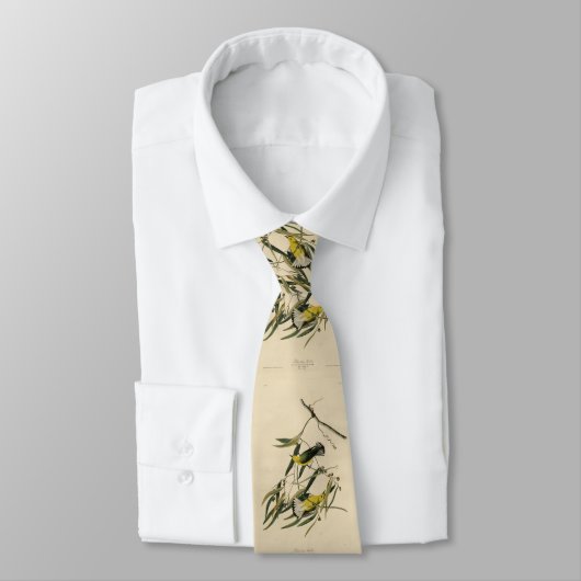 Prothonotary Warbler - Audubon's Birds of America Stropdas (Gebonden)