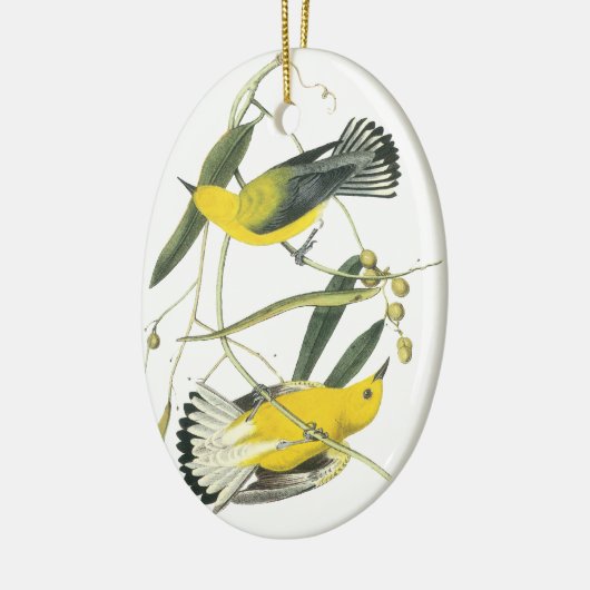 Prothonotary Warbler, John Audubon Keramisch Ornament (Links)
