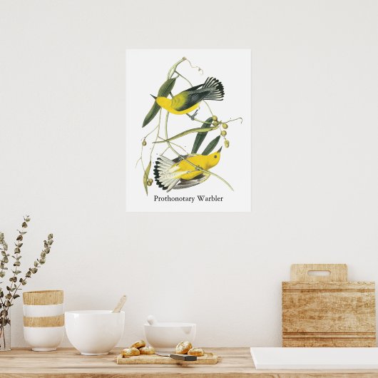 Prothonotary Warbler, John Audubon Poster (Keuken)