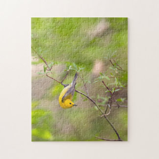 Prothonotary Warbler Legpuzzel