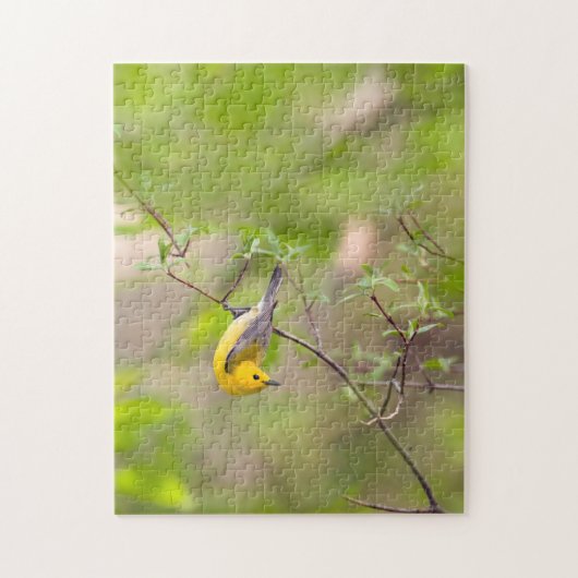 Prothonotary Warbler Legpuzzel (Verticaal)