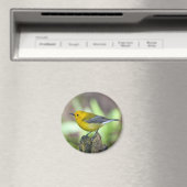 Prothonotary Warbler Magneet (Insitu (Vaatwasser))