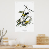 Prothonotary Warbler Poster (Keuken)