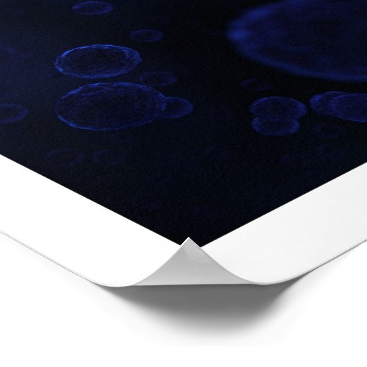 Protist Poster (Hoek)