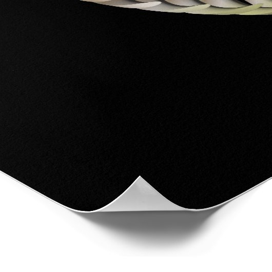 Protoballs Stereogram Poster (Hoek)