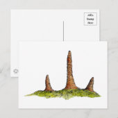 Prototaxites Fungi Briefkaart (Voorkant / Achterkant)