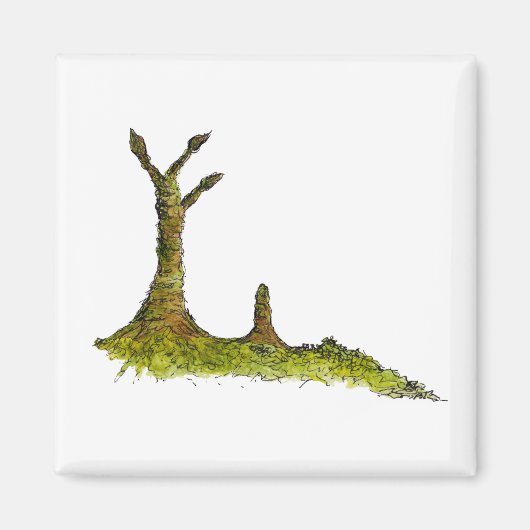 Prototaxites korstmosmagneet magneet (Voorkant)