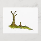 Prototaxites Lichens Briefkaart (Voorkant)