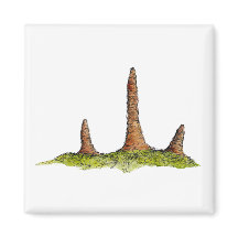 Prototaxites schimmel magneet