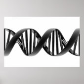 prototype poster (Voorkant)