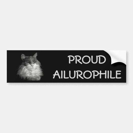 Proud Ailurophile (Cat Lover) Maine Coon Bumpersticker (Voorkant)