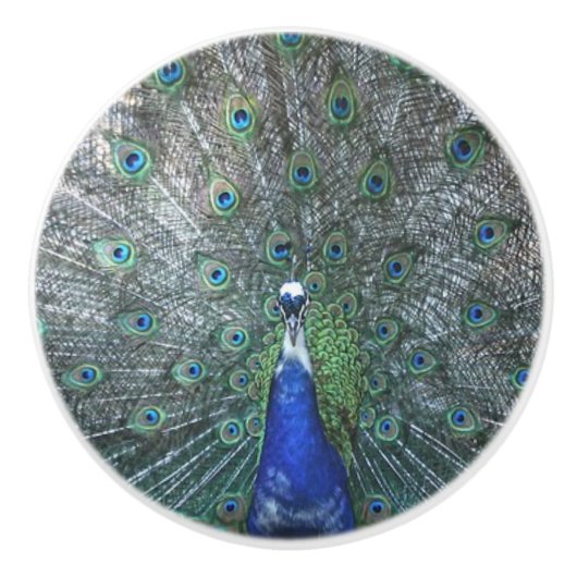 Proud als Peacock Keramische Knop (Voorkant)