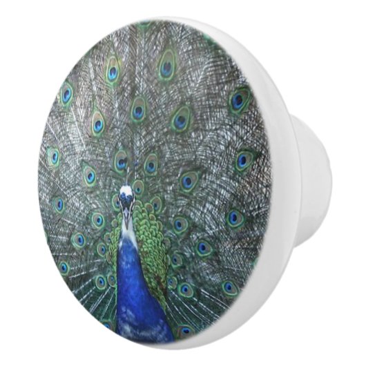 Proud als Peacock Keramische Knop (Rechts)