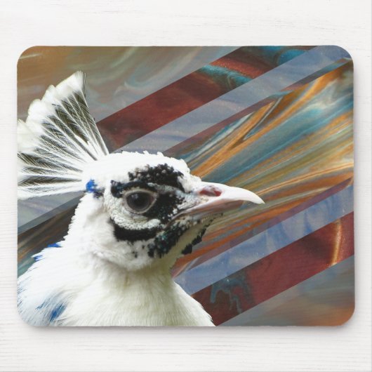 Proud als Peacock Mousepad Muismat (Voorkant)