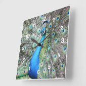 Proud als Peacock Vierkante Klok (Hoek)