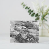 Proud Amazonian Baby Crocodile Briefkaart (Staand voorkant)