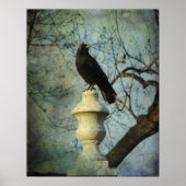 Proud American Crow Poster (Voorkant)