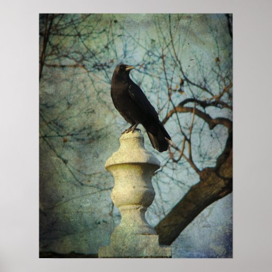 Proud American Crow Poster (Voorkant)