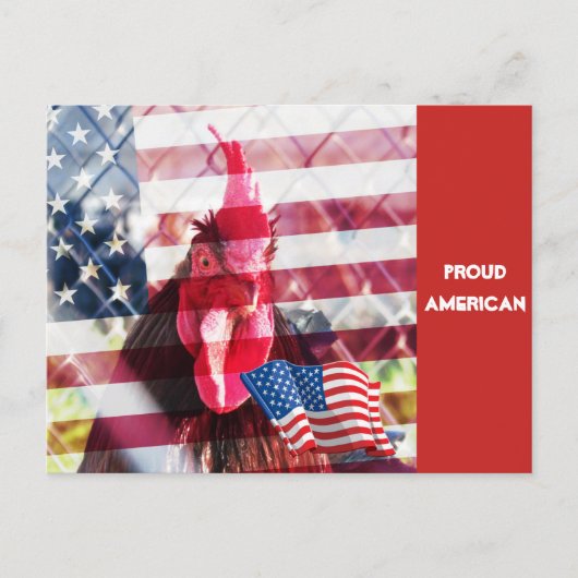 Proud American Rooster Briefkaart (Voorkant)