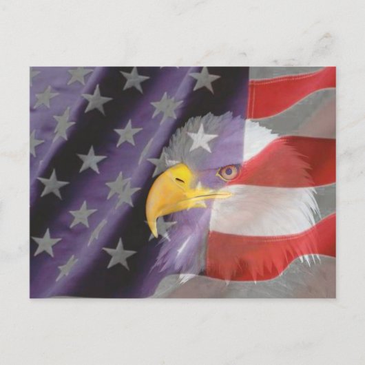 Proud and Patriotic USA Bald Eagle Briefkaart (Voorkant)