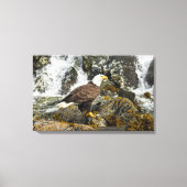 Proud Bald Eagle Canvas Afdruk (Voorkant)