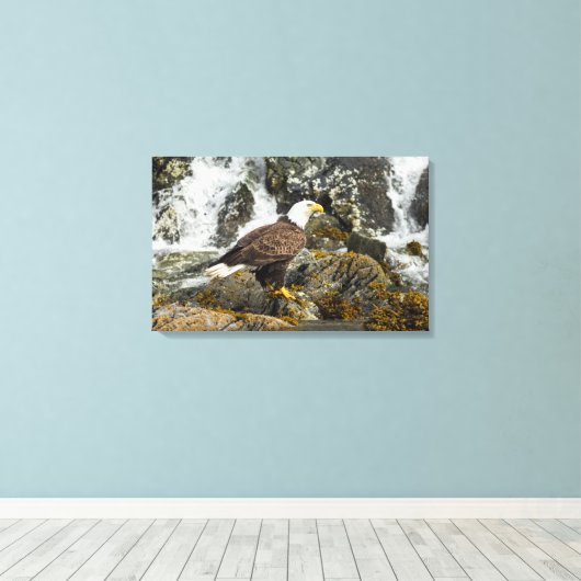 Proud Bald Eagle Canvas Afdruk (Insitu (Houten vloer))