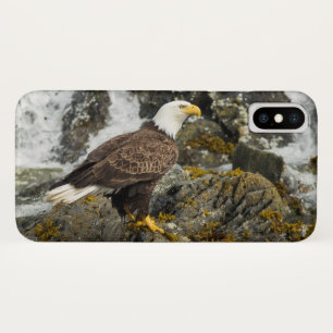 Proud Bald Eagle Case-Mate iPhone Case