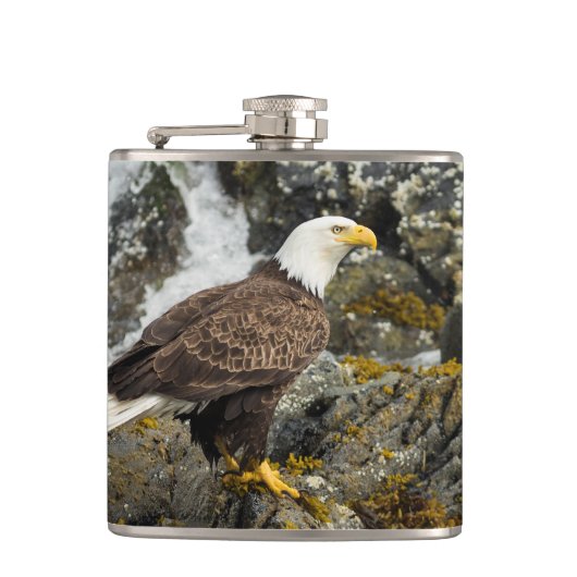 Proud Bald Eagle Heupfles (Voorkant)