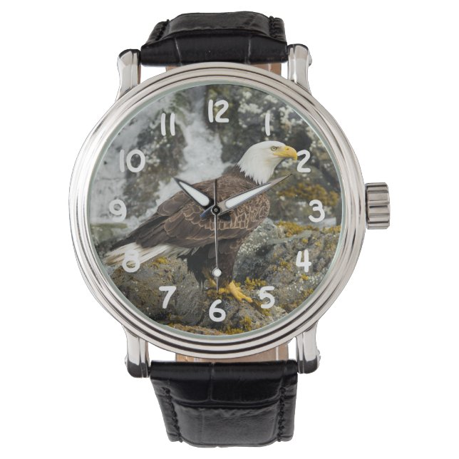 Proud Bald Eagle Horloge (Voorkant)