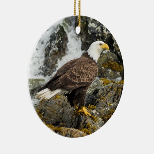 Proud Bald Eagle Keramisch Ornament (Rechts)