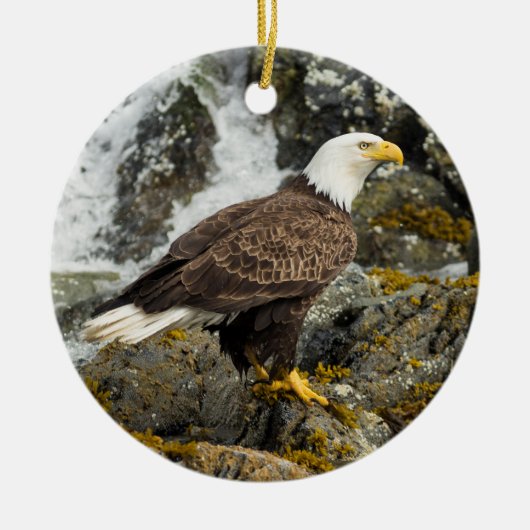Proud Bald Eagle Keramisch Ornament (Voorkant)