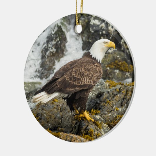 Proud Bald Eagle Keramisch Ornament (Links)