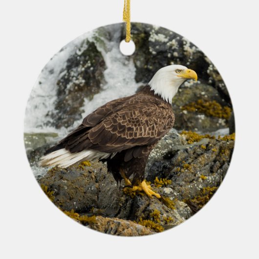Proud Bald Eagle Keramisch Ornament (Achterkant)