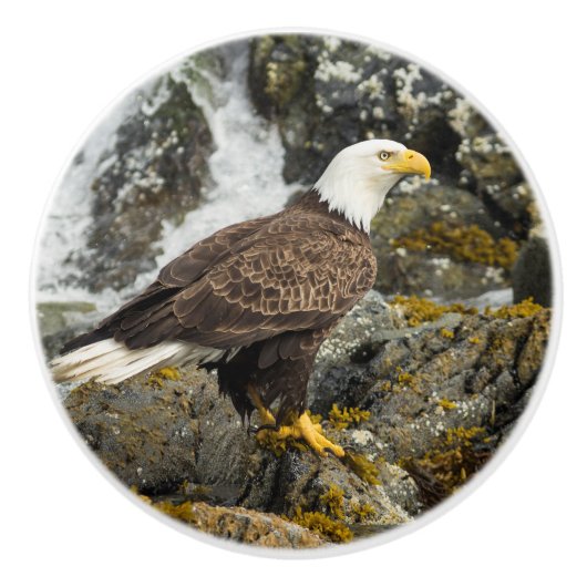 Proud Bald Eagle Keramische Knop (Voorkant)