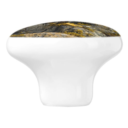 Proud Bald Eagle Keramische Knop (Zijkant)