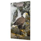 Proud Bald Eagle Klembord (Links)