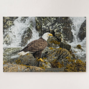 Proud Bald Eagle Legpuzzel