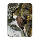 Proud Bald Eagle Magneet (Verticaal)