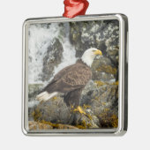 Proud Bald Eagle Metalen Ornament (Links)