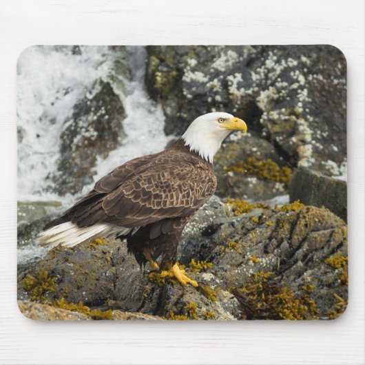 Proud Bald Eagle Muismat (Voorkant)
