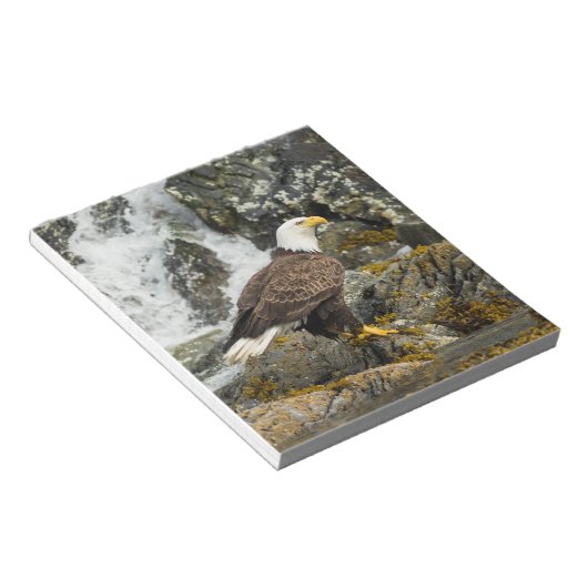Proud Bald Eagle Notitieblok (Schuin)