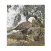 Proud Bald Eagle Notitieblok (Voorkant)