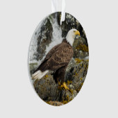 Proud Bald Eagle Ornament (voorkant)