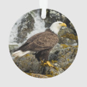 Proud Bald Eagle Ornament (achterkant)