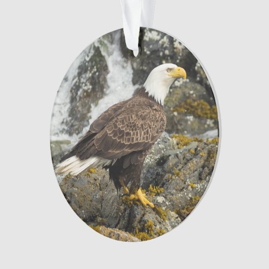 Proud Bald Eagle Ornament (voorkant)